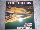 LP - The Triffids - Born Sandy Devotional / Near Mint Vinyl/ HOTLP1023