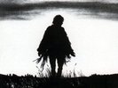 LP NEIL YOUNG 