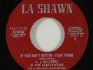 L.J. Waiters & the Electrifiers 