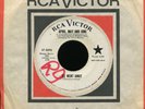 APRIL MAY AND JUNE He Went Away on RCA Promo Northern Soul 45 Hear