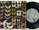 MAYFLY - Quite A Surprise / Signed By The Time 45 Dutch 73 Beatlesque PROG PSYCH