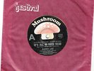 MADDER LAKE - IT'S ALL IN YOUR HEAD - RARE 7