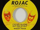 Wesley Paige 