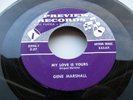 GENE MARSHALL - MY LOVE IS YOURS / SAY A PRAYER FOR VIETNAM 45 PREVIEW 2294