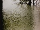 Bon Iver-For Emma Forever Ago  (UK IMPORT)  Vinyl / 12