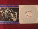 Youth Of Today - Break Down The Walls Vinyl LP/ First Pressing/ Wishingwell