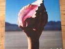 THE KILLERS - PROMO POSTER for DELUXE LP / WONDERFUL Pink Vinyl Tour Ticket Adam