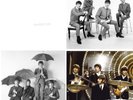 The Beatles The White Album - VINYL - FREE SHIPPING  NO TAX