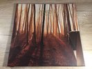 LP Anekdoten ?A Time Of Day Virtalevy ?VIRTA LP 005 Sweden LIMITED only 900