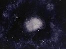 Swans-My Father Will Guide Me Up A Rope To The Sky  VINYL NEW