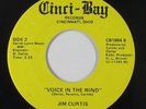 Modern Soul Vocoder 45 - Jim Curtis - Voice In The Wind - Cinci-Bay - unknown?