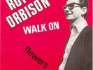 Rare   ROY ORBISON Belgium PROMO 45: Walk on/Flowers