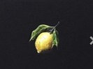 Beyonce How to Make Lemonade Collector Edition Box Set, Vinyl, Coffee Table Book