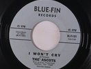 ASCOTS: The Wonder Of It All / I Won't Cry 45 (lightly scuffed disc plays well)