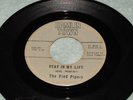 Pied Pipers - Stay In My Life - Hamlin Town - Dennis Sesonsky - Left End -LISTEN