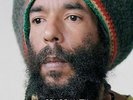 **New** - Jungle Revolution  - Congo Natty VINYL 5021392232867