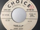 Sandy Scott 