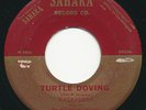 KASANDREA & MIDNIGHT RIDERS Turtle Diving SAHARA Obscure R&B Soul 45 Hear