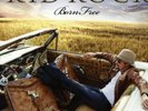 KID ROCK-BORN FREE  VINYL LP NEW
