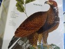 Storia naturale degli uccelli Buffon