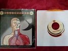 Pearl Jam The Fixer Back Spacer Orange 7