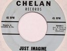 DAVE RENO & HI FLYERS Just Imagine CHELAN 45 popcorn 7” HEAR mp3