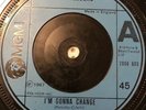 Northern Soul 45- The Velours- I'm Gonna Change- UK MGM