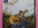 THE DANDY WARHOLS This Machine Orig LP Gatefold SEALED MINT ? Alt Indie Pop Rock