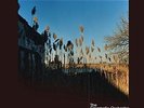 The Cinematic Orchestra-Ma Fleur  VINYL LP NEW