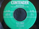 Saxons, Contender 1313, Is It True? & Rock And Roll Show, Great ballad