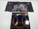 Lateralus [Vinyl] (H146087)