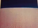 LP   10