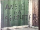 Mark Broom - Angie Is A Shoplifter (Pure Plastic PP008LP) Techno 2x12