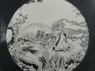 CHROMING ROSE - Limited Edition Picture Disc LP