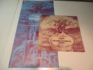 CCR JERONIMO Spirit Orgaszmus incl. Poster / Pink Vinyl / Cover:very good
