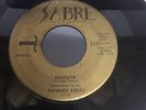 Thunder Rocks 45 Rare Detroit Surf/Garage Warpath/Restless VG Sabre