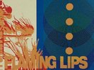 THE FLAMING LIPS-Zaireeka 4xLP Deluxe Colored Vinyl Box Set RSD 2013 EX