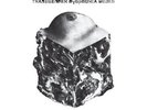 AGAINST ME  - TRANSGENDER DYSPHORIA BLUES * NEW VINYL
