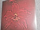Machine Head - The Burning Red SEALED RARE Limp Bizkit KORN Linking Park