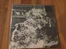 Rage Against The Machine Rage Against The Machine LP Vinyl Record US Pressing