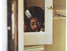 Michael Howell - Looking Glass LP - Milestone PROMO