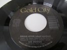 RARE LIZ HOGUE DREAM LOVER B/W INSTRO  MODERN SOUL 45 SINGLE  GOLD CITY LABEL