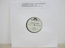 LP- Duane & Greg Allman / MUSTERPLATTE / ARCHIV / MINT / RAR /