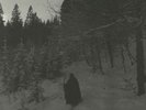 TAAKE - Kong Vinter - Vinyl (limited gatefold white vinyl 2xLP + poster)