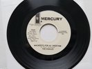 THE RIDDLES - Sweets For My Sweet / It's One Thing To Say PROMO 1967 GARAGE ROCK
