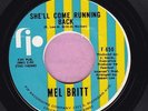 Mel Britt 