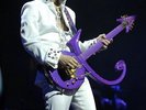 PRINCE Music  Books Concert Videos Mixed Media Experience on USB