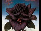 Thin Lizzy-Black Rose  (UK IMPORT)  VINYL NEW