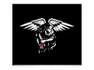 American Nightmare-S/T LP Red Vinyl limited to 300 Cold Cave Wes Eisold TYF 2018