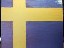The Mountain Goats Sweden 12
